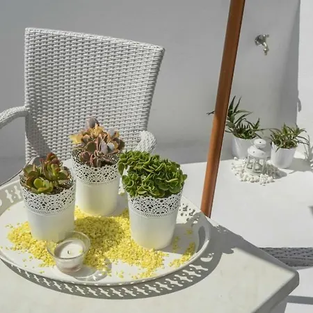 公寓 Helen Naxos City